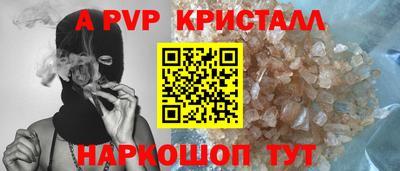 гашик Тара