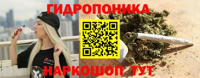 гашик Тара