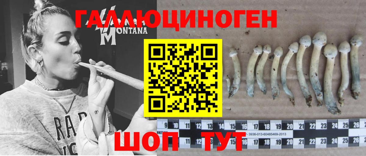 Новоалександровск  Псилоцибиновые грибы прущие грибы  Вход с VPN 