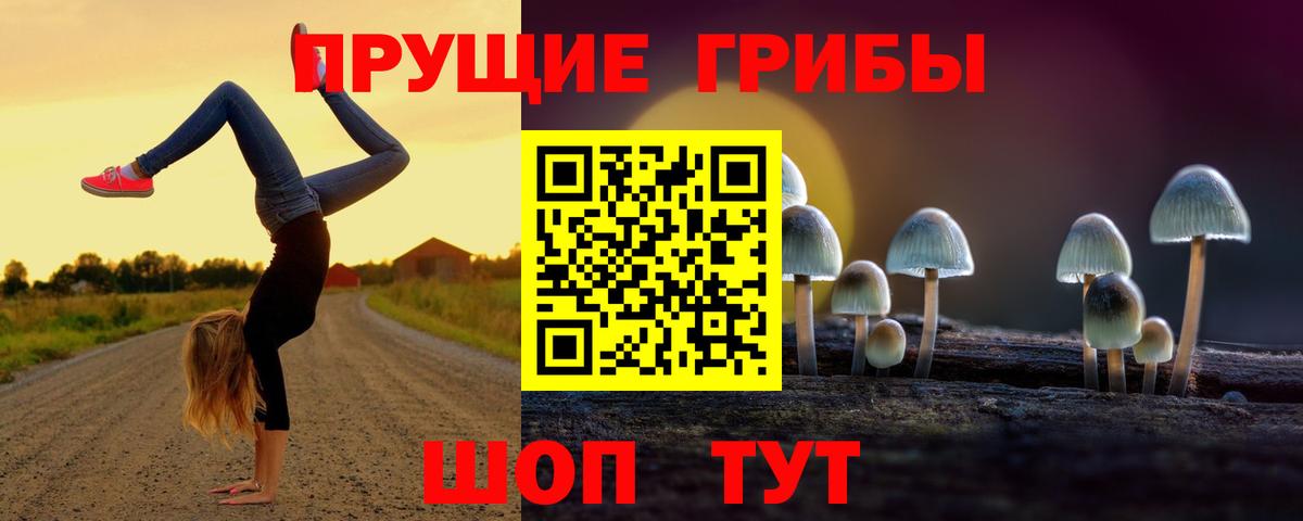 Псилоцибиновые грибы прущие грибы Новоалександровск